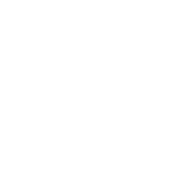 Ícone do Whatsapp no CTA